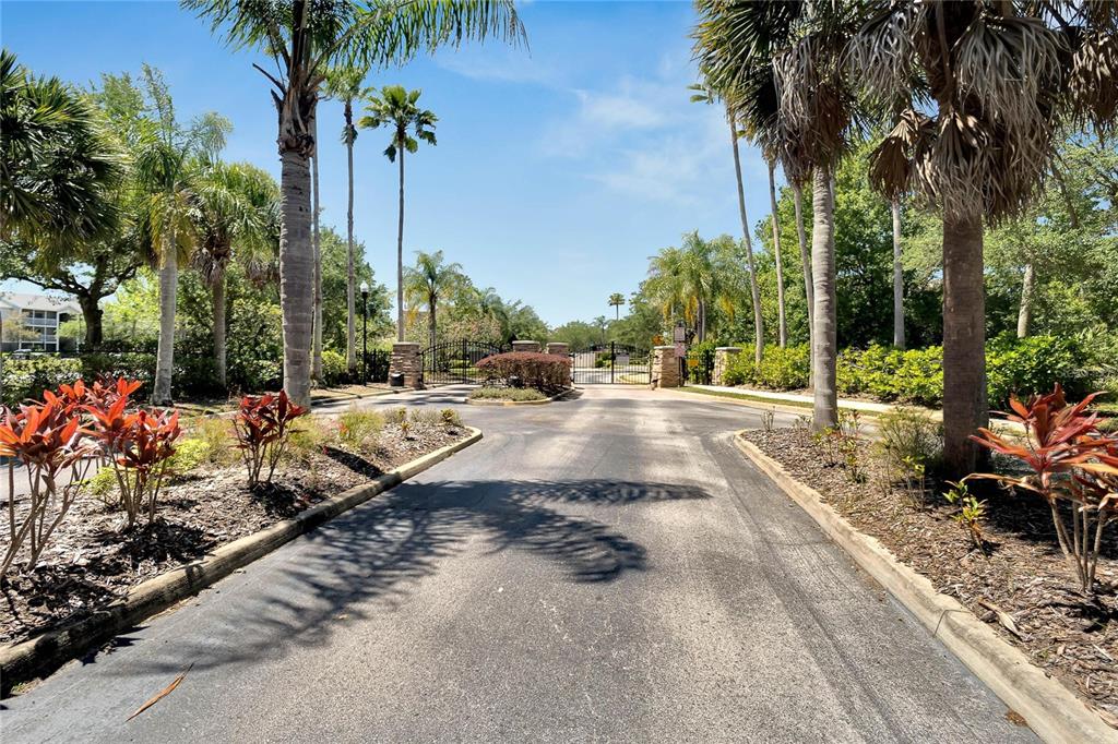 A paved driveway leads to a gated entrance surrounded by palm trees and landscaping — 1019 VISTA CAY COURT, BRANDON, FL