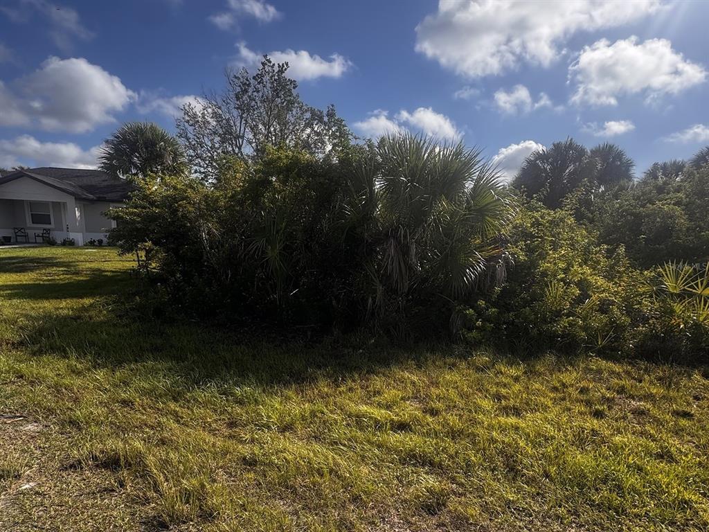 A grassy yard features a large cluster of palm trees and shrubs beside a house — 104 ARROW LANE, ROTONDA WEST, FL