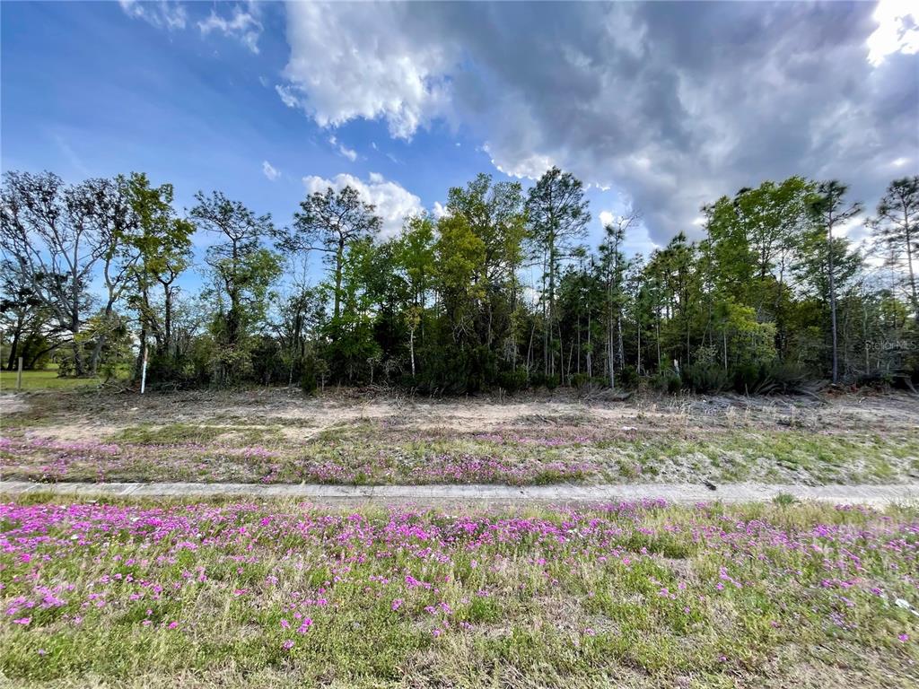 TBD NE HIGHWAY 27 ALT, WILLISTON, FL — photo 2 of 6