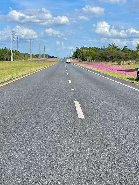 TBD NE HIGHWAY 27 ALT, WILLISTON, FL — photo 3 of 6