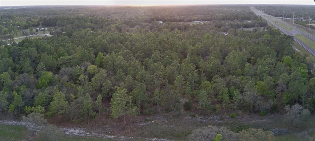 TBD NE HIGHWAY 27 ALT, WILLISTON, FL — photo 4 of 6