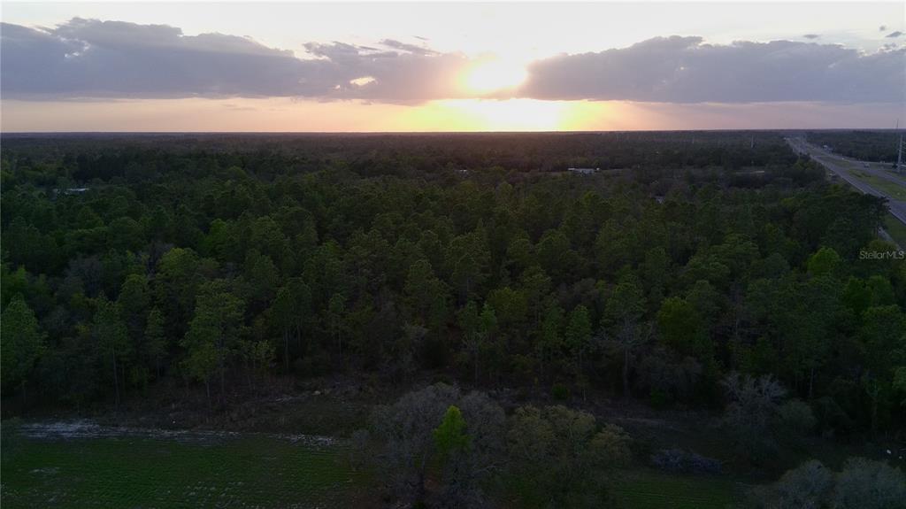 TBD NE HIGHWAY 27 ALT, WILLISTON, FL — photo 5 of 6