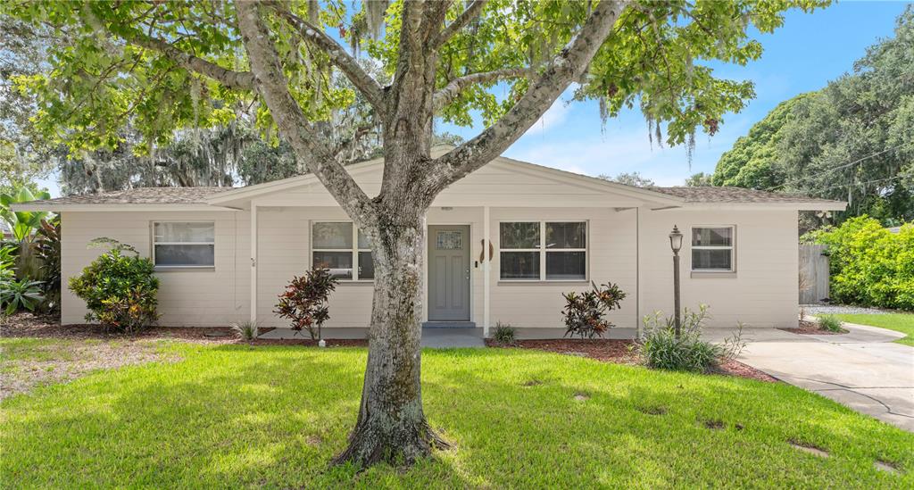 A single-story house with light-colored siding, a front door, and a large tree in front — 358 S ORCHARD STREET, ORMOND BEACH, FL
