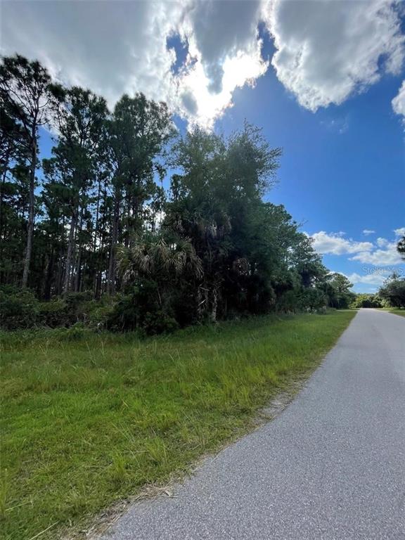 A paved road runs alongside a grassy lot bordered by tall pine and palm trees — 12325 CHAMBERLAIN BOULEVARD, PORT CHARLOTTE, FL