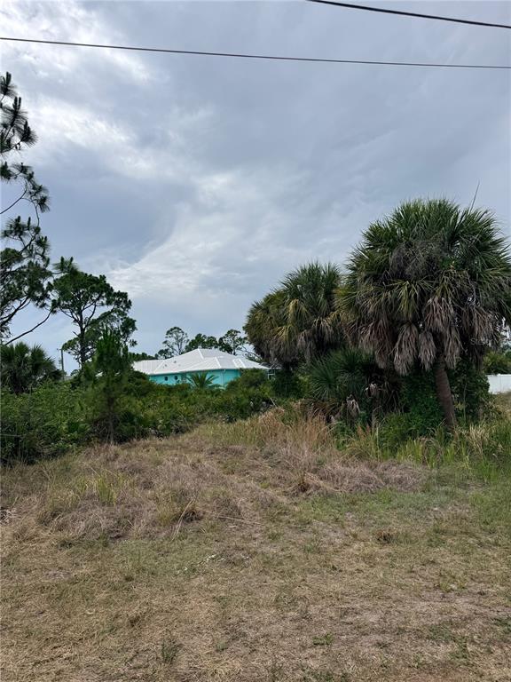 A vacant, grassy lot with palm trees and shrubs in front of a distant house — 110 HARDEE WAY, ROTONDA WEST, FL
