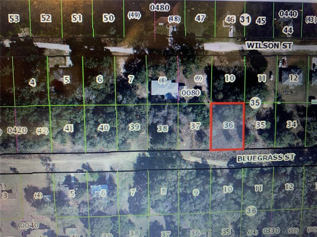 This is a satellite map showing a highlighted rectangular land parcel labeled 36 — 2406 BLUEGRASS STREET, INVERNESS, FL