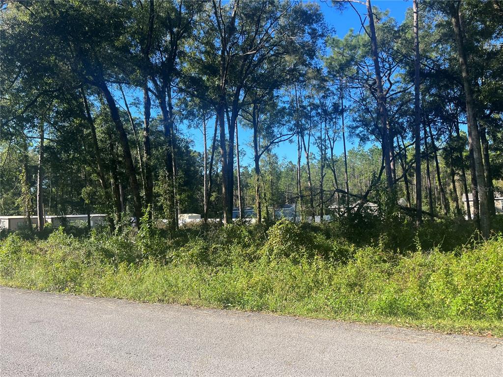NW 20TH ST, OCALA, FL — photo 2 of 2
