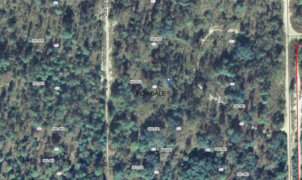 This is an aerial map showing a plot of land for sale with parcel identifiers — 118 BANANA AVENUE, POMONA PARK, FL