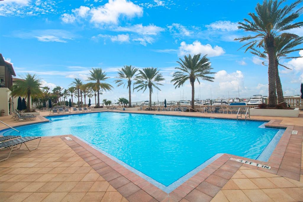 A rectangular swimming pool with a tiled deck is surrounded by palm trees and boats — 4884 YACHT CLUB DRIVE, TAMPA, FL
