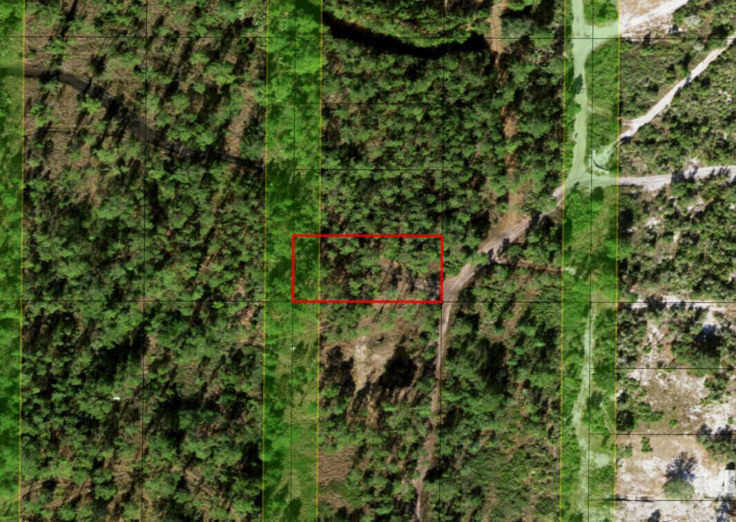 This aerial map view shows a rectangular plot of land highlighted within a wooded area — 0 Holopaw Groves Road, FL 34772, FL