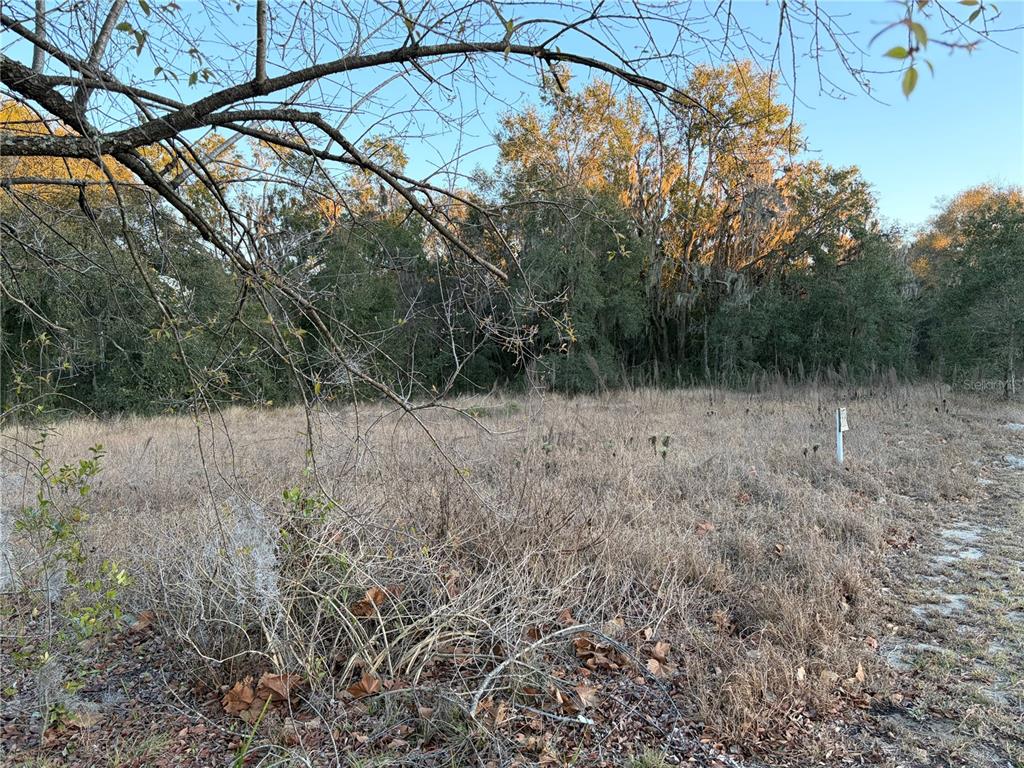A vacant, grassy lot with scattered brush and trees in the background — 13434 MARYLAND AVENUE, ASTATULA, FL