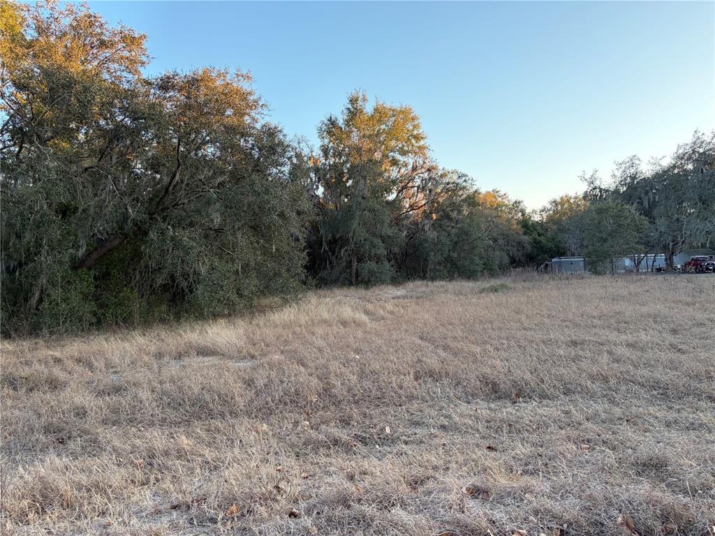 A grassy, undeveloped lot features a line of mature trees and a distant shed — 13434 MARYLAND AVENUE, ASTATULA, FL