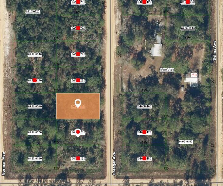 This is a satellite map showing a highlighted rectangular land parcel between two dirt roads — 002 Creager Avenue, FL 32148, FL