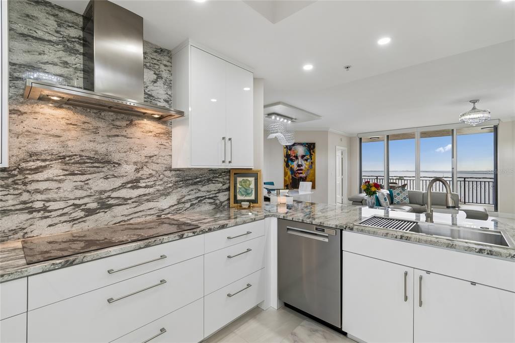 A modern kitchen features white cabinets, granite countertops, a stainless steel dishwasher, and water views — 5823 BOWEN DANIEL DRIVE UNIT 1103, TAMPA, FL