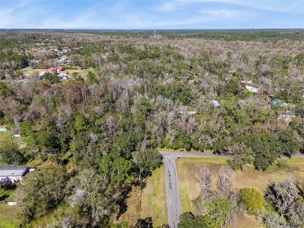 An aerial view shows a paved road ending at a dense, wooded residential lot — 1002 BUIST ST, ORLANDO, FL