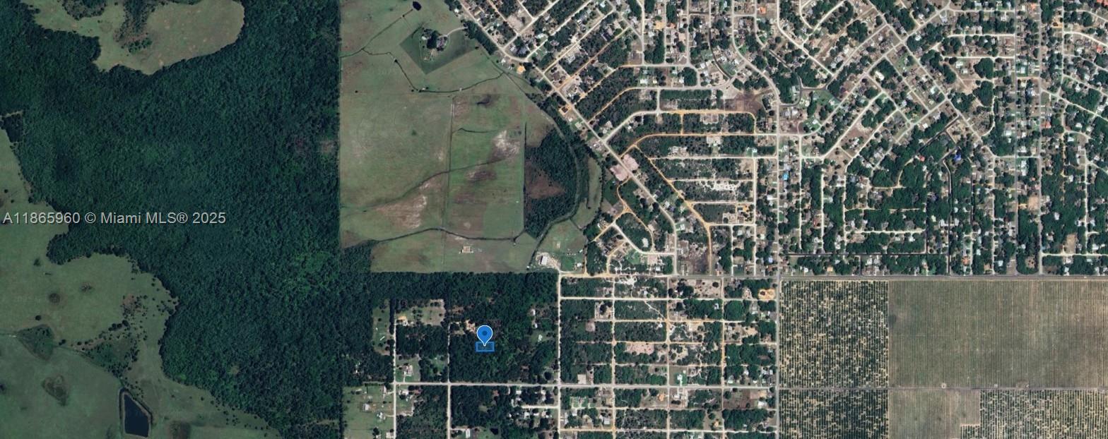 This is an aerial map view showing a residential area adjacent to open fields — 3175 W Foli Road, Avon Park FL 33825, AVON PARK, FL