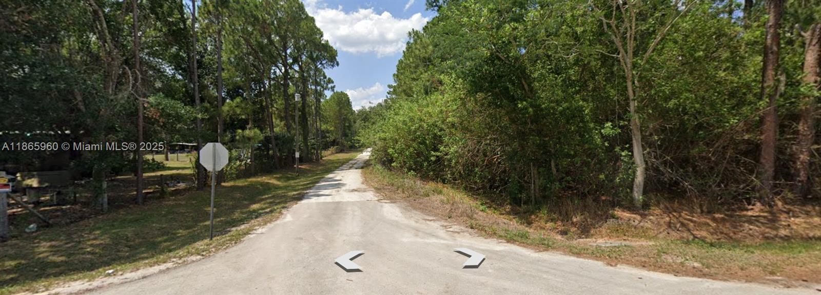 A dirt road leads into a wooded area with a stop sign on the left — 3175 W Foli Road, Avon Park FL 33825, AVON PARK, FL