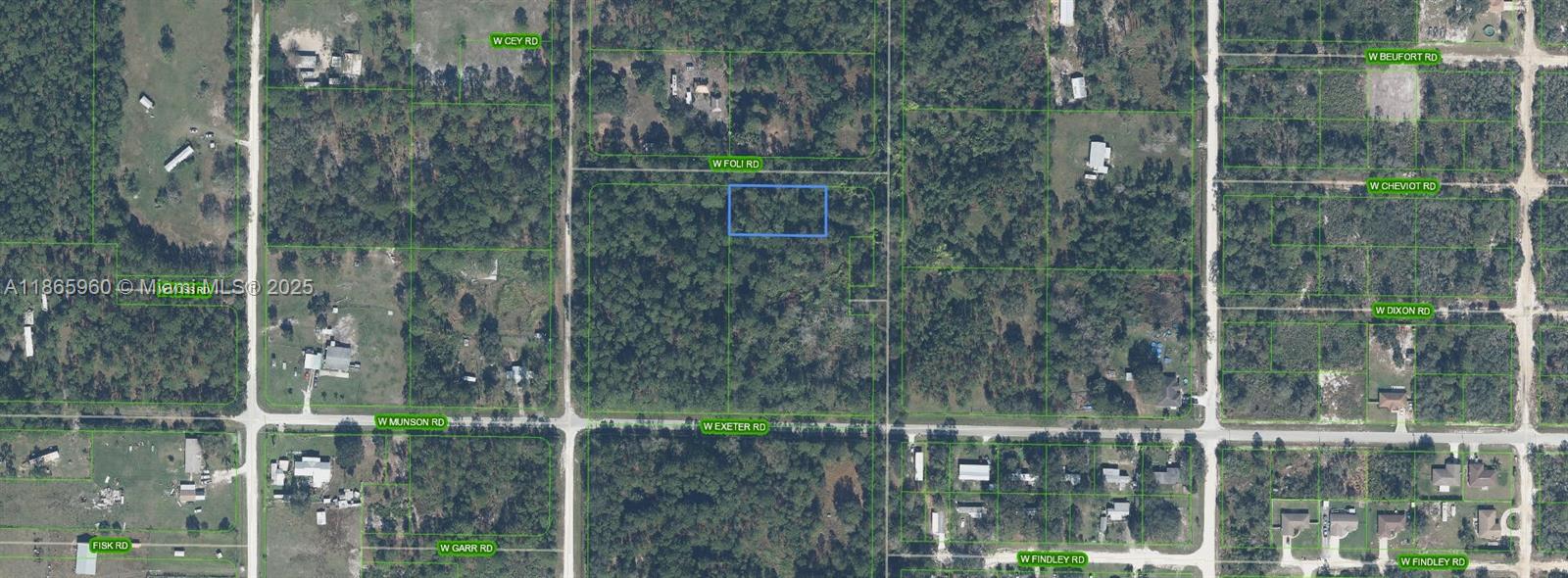 This is an aerial map showing a rectangular plot of land highlighted in blue — 3175 W Foli Road, Avon Park FL 33825, AVON PARK, FL