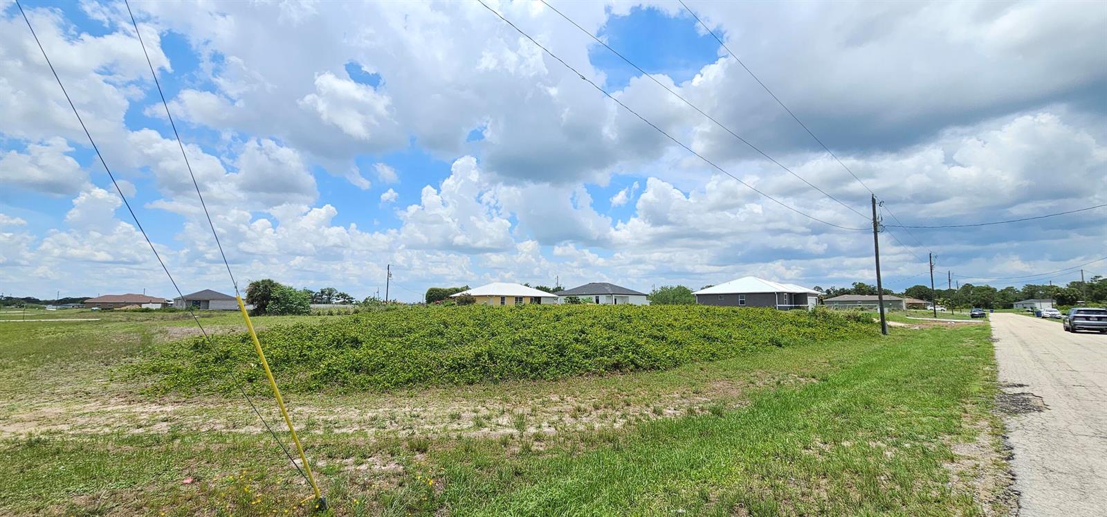 A vacant, grassy lot with dense vegetation sits beside a paved road under a cloudy sky — 6204 Hob Court, FL 33935, FL