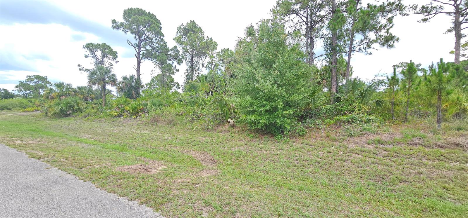 A grassy roadside area borders a dense thicket of trees and native Florida vegetation — 6204 Hob Court, FL 33935, FL