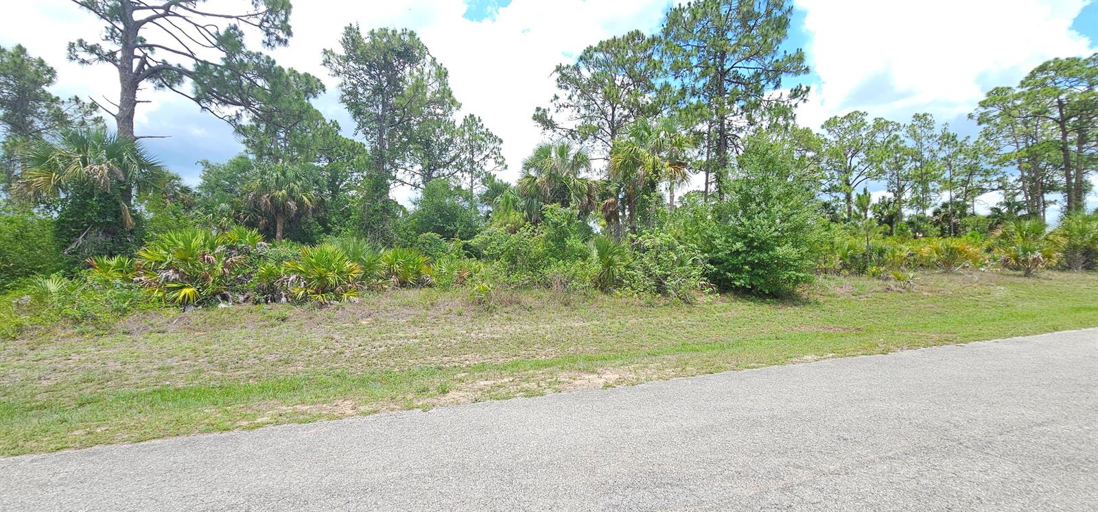 A vacant, wooded lot with native vegetation and pine trees borders a paved asphalt road — 6204 Hob Court, FL 33935, FL