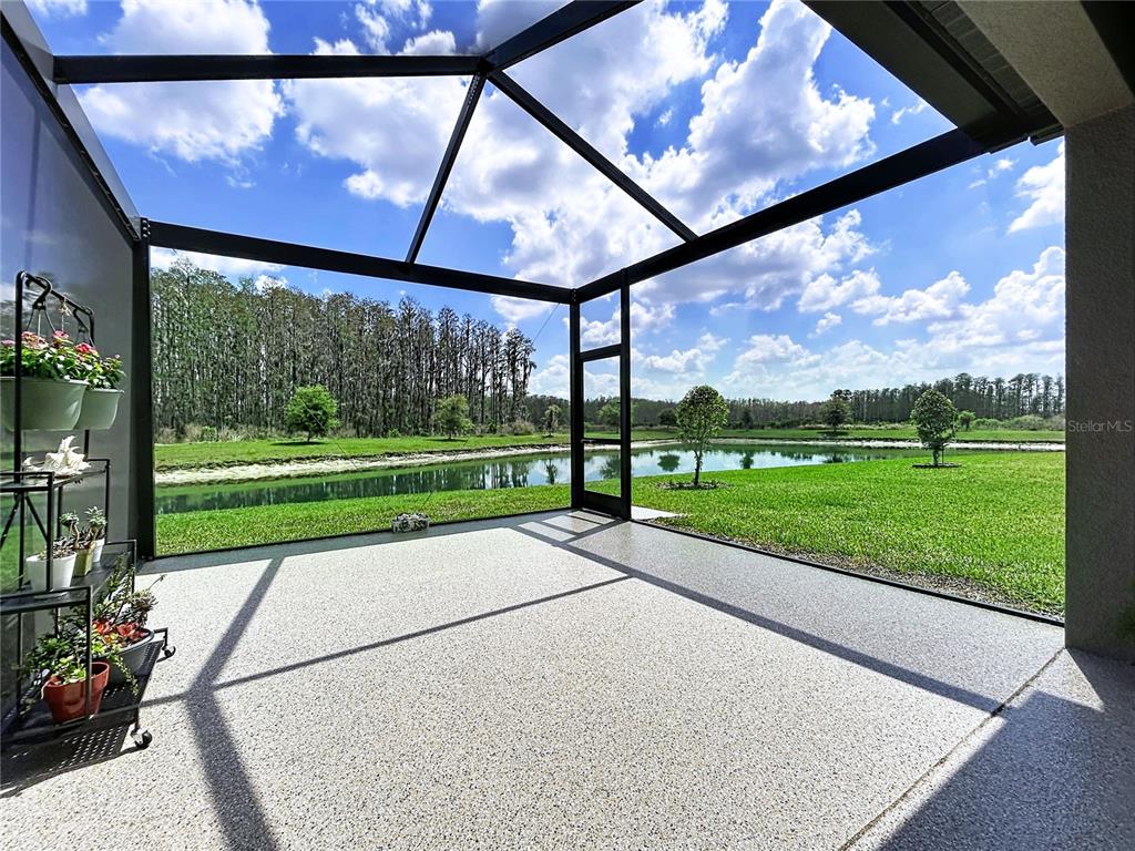 A screened-in patio overlooks a grassy yard and a pond with a treeline beyond — 19537 SHIP WHEEL WAY, LAND O LAKES, FL