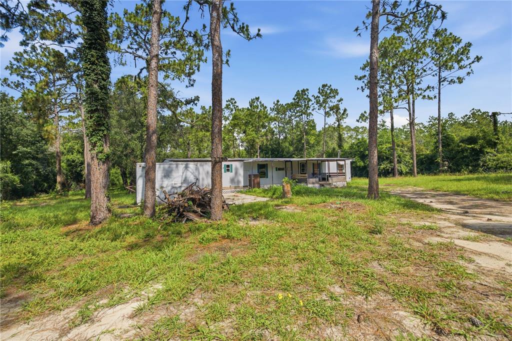 A single-story mobile home sits on a grassy lot surrounded by tall pine trees — 2290 SE 141ST AVENUE, MORRISTON, FL