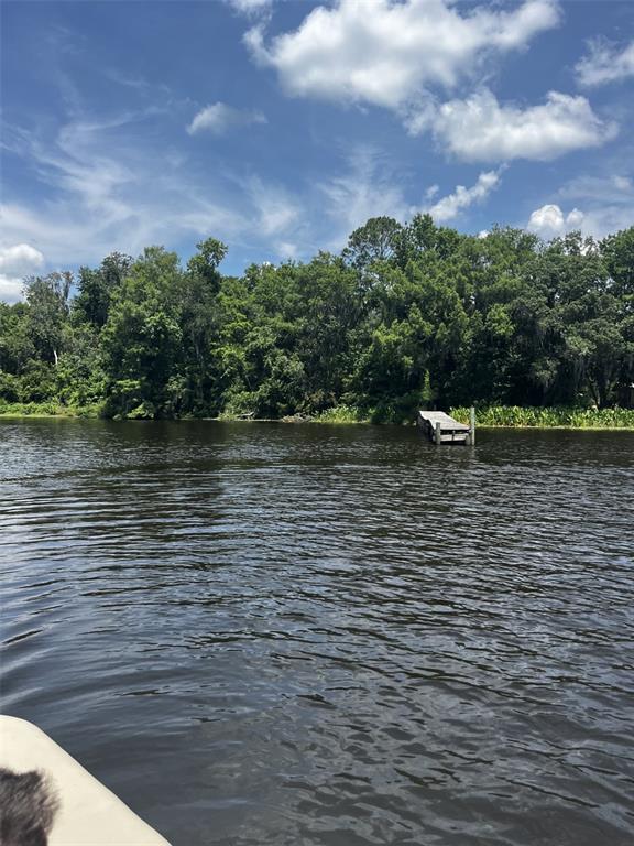 A wooden dock extends into a dark, rippled river bordered by a dense, green forest — 102 CEDAR CREEK ROAD, PALATKA, FL