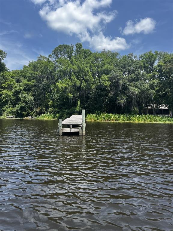 A wooden dock extends into a dark lake in front of a dense, tree-lined shore — 102 CEDAR CREEK ROAD, PALATKA, FL