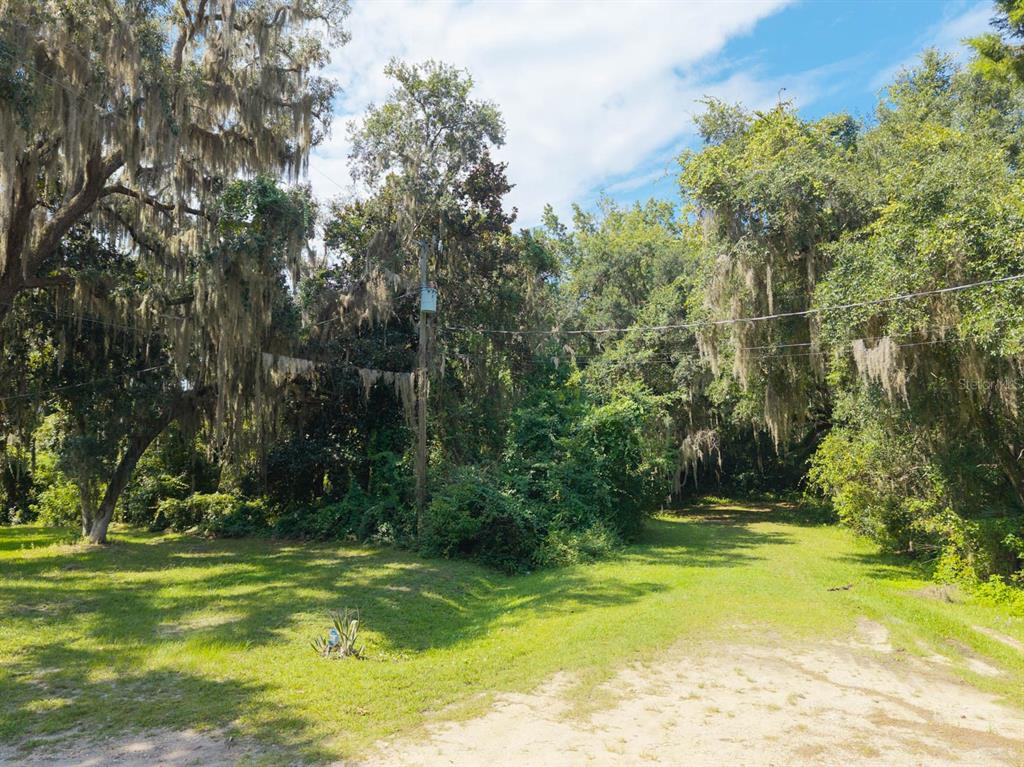A grassy clearing sits in front of a dense forest with Spanish moss-covered trees — 102 CEDAR CREEK ROAD, PALATKA, FL