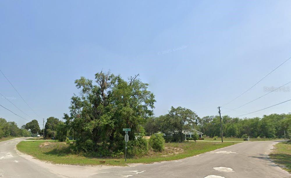 A street corner view shows a vacant grassy lot with trees and a road sign — Lot 1 MALUKA RADIAL, OCKLAWAHA, FL