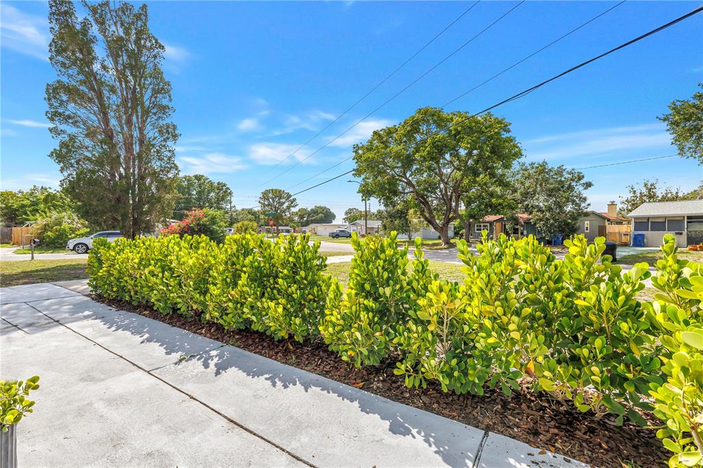 A concrete walkway leads past a manicured hedge toward a residential street with trees — 7599 MEADOWLAWN DRIVE N, ST PETERSBURG, FL