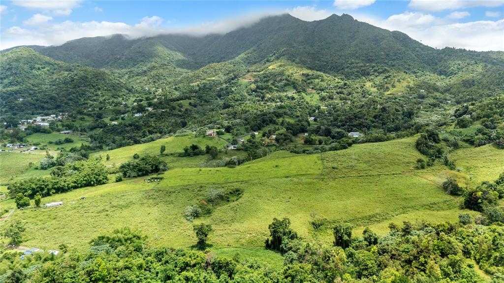 An aerial view shows a lush, green mountain landscape with scattered houses and rolling pastures — 971 KM 14.5 BO. DUQUE, NAGUABO, PR