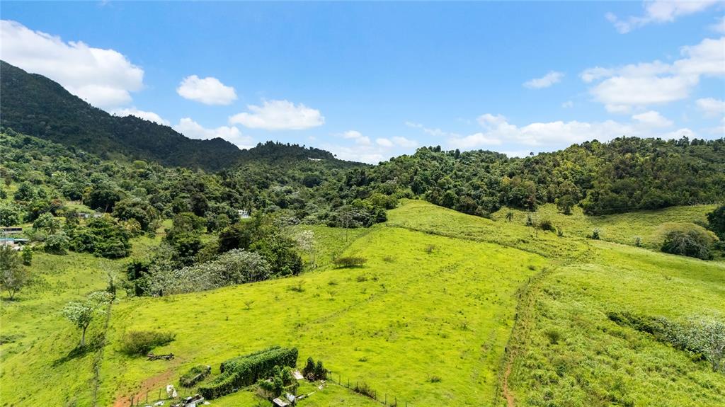 An aerial view shows a grassy hillside pasture with surrounding forest and distant mountains — 971 KM 14.5 BO. DUQUE, NAGUABO, PR