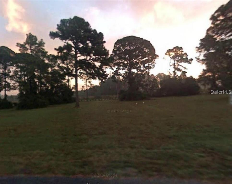 A grassy, open lot features several large pine trees under a sunset sky — 205 SHER LANE, DEBARY, FL