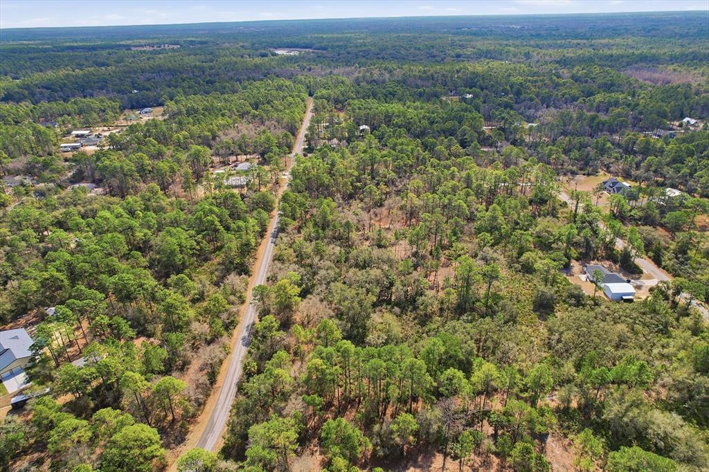 An aerial view shows a paved road running through a dense, wooded residential area — 9568 N DAWNFLOWER AVENUE, CRYSTAL RIVER, FL