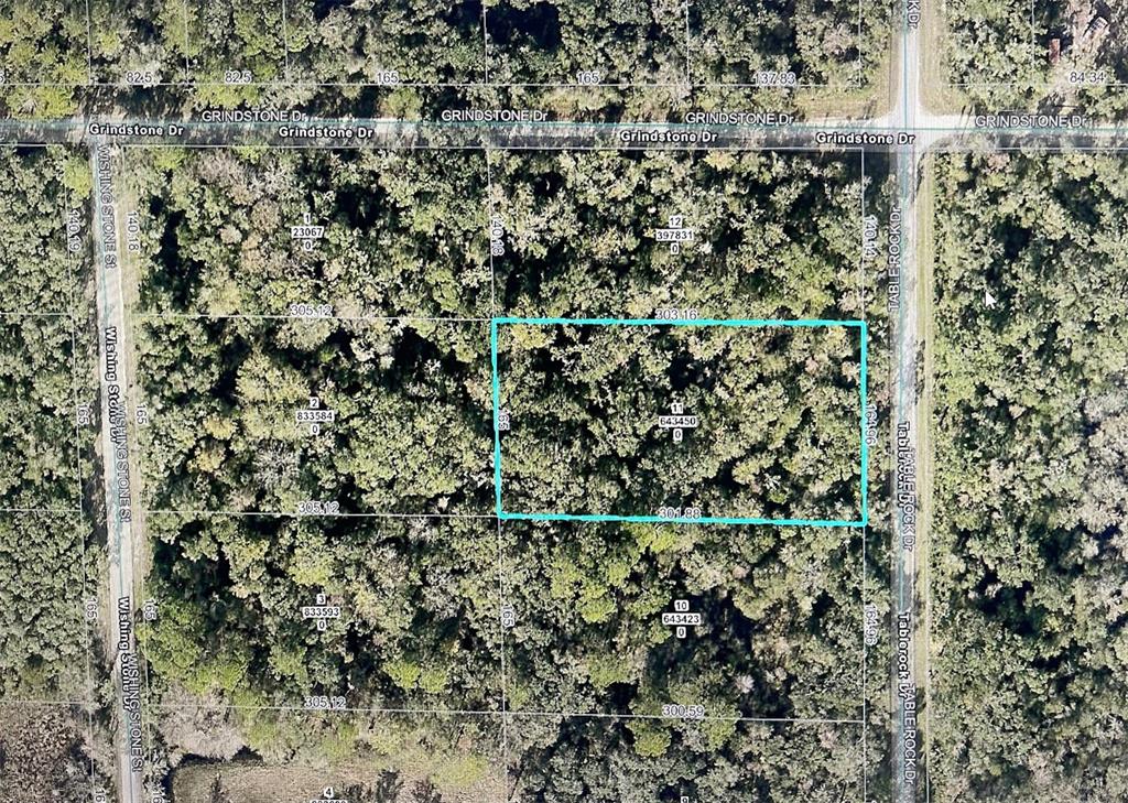 TABLE ROCK DRIVE, WEBSTER, FL — photo 2 of 2