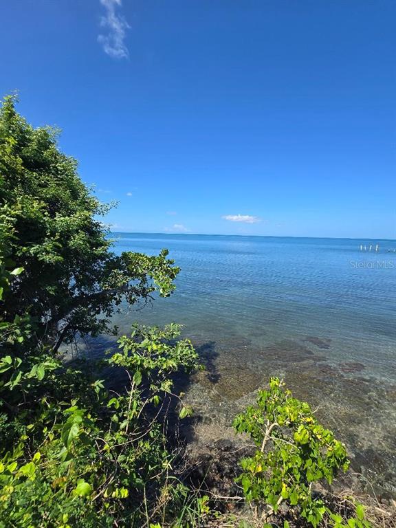 A view of the ocean from a shoreline with trees and rocky water — BO GUANAJIBO CARR 102, CABO ROJO, PR