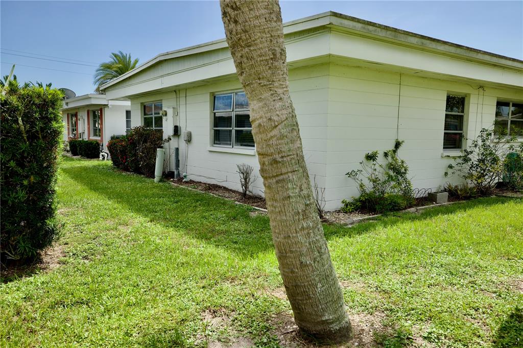 The exterior of a white, single-story building features a palm tree in the foreground — 1741 CARIBBEAN CIRCLE UNIT 13, VENICE, FL