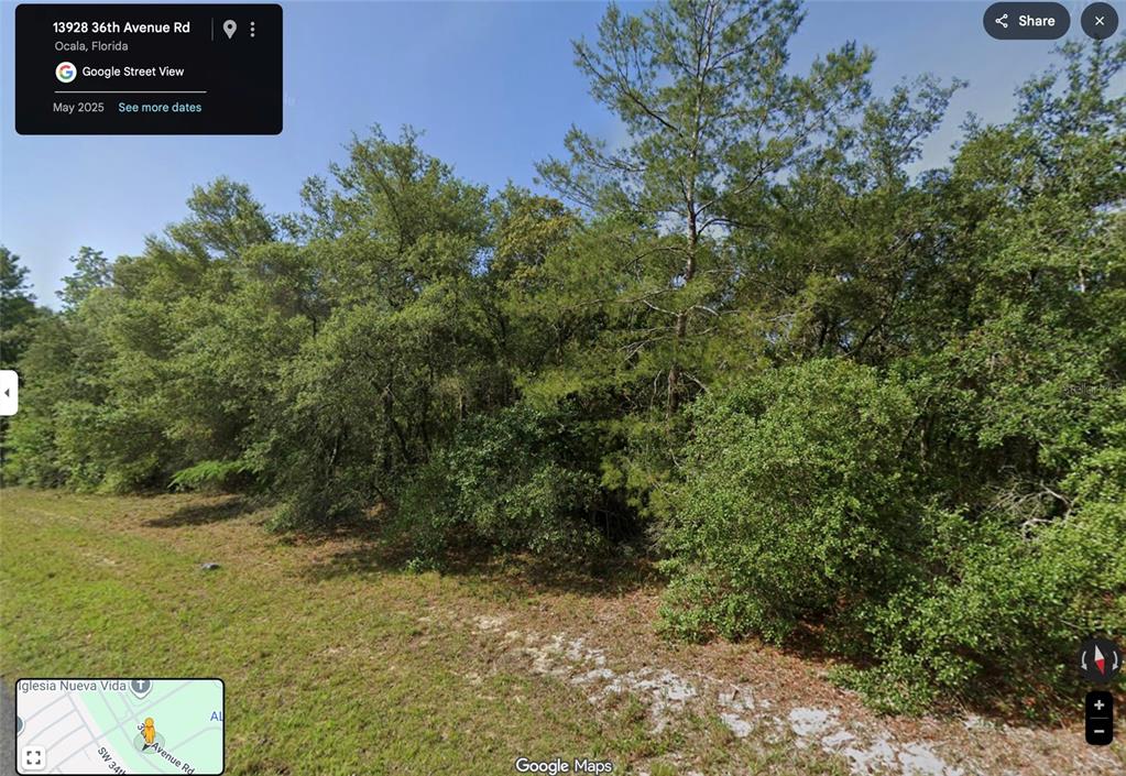 A dense, wooded lot with a grassy foreground under a clear blue sky — SW 36TH AVENUE ROAD, OCALA, FL