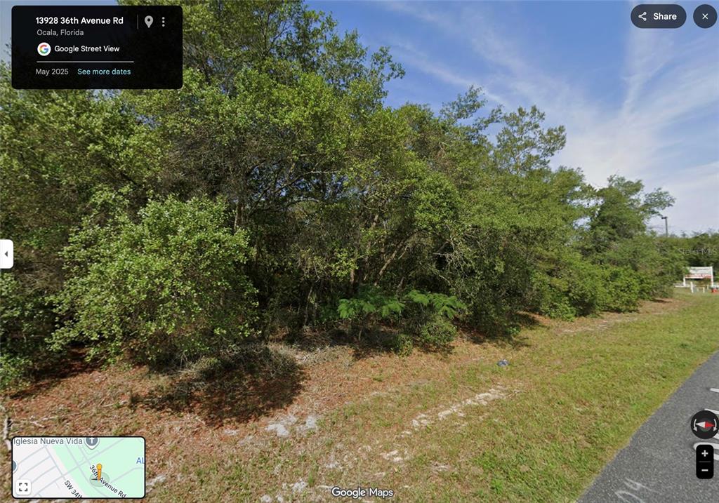 A dense, wooded vacant lot sits along a paved road in a residential area — SW 36TH AVENUE ROAD, OCALA, FL