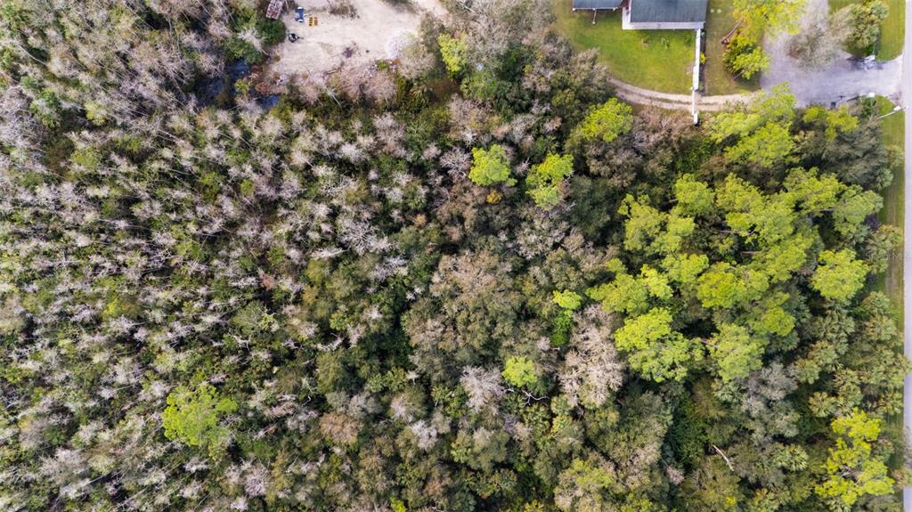 An aerial view shows a densely wooded lot adjacent to a road and a house — 4870 30TH AVENUE SE, NAPLES, FL