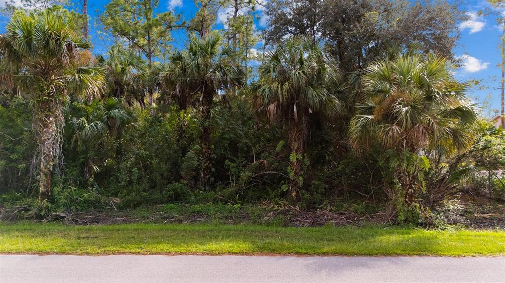 A wooded residential lot with several palm trees and dense vegetation bordering a paved road — 4870 30TH AVENUE SE, NAPLES, FL