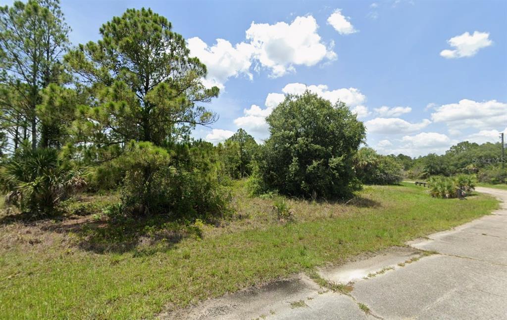 A vacant, grassy lot with scattered trees and shrubs borders a paved road — Lot 3 ECKER TERRACE, NORTH PORT, FL