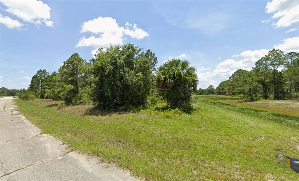 A paved road borders a grassy, undeveloped lot with scattered trees and shrubs under a sky — Lot 3 ECKER TERRACE, NORTH PORT, FL