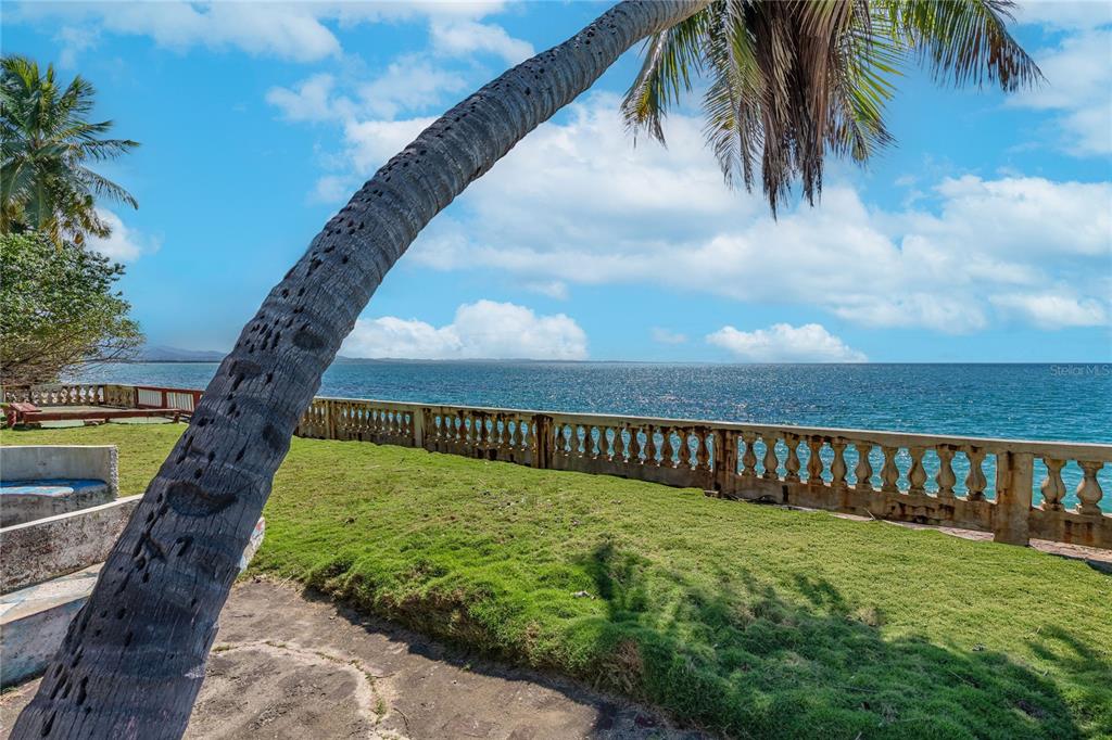Bo BARRERO, RINCON, PR — photo 3 of 16