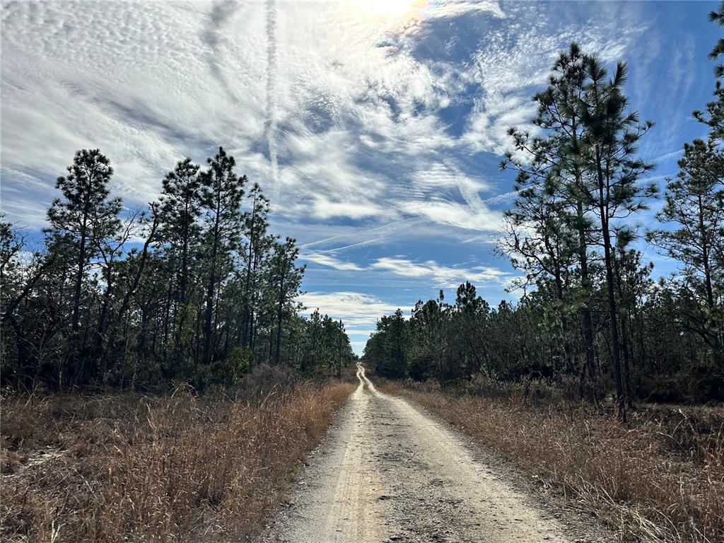 TBD NE 150TH COURT, WILLISTON, FL — photo 4 of 5