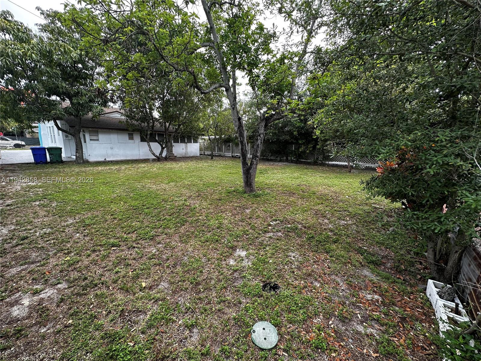 A grassy backyard features a large tree, a white house, and a circular utility cover — 105 NW 31st St # 1, Miami FL 33127, MIAMI, FL