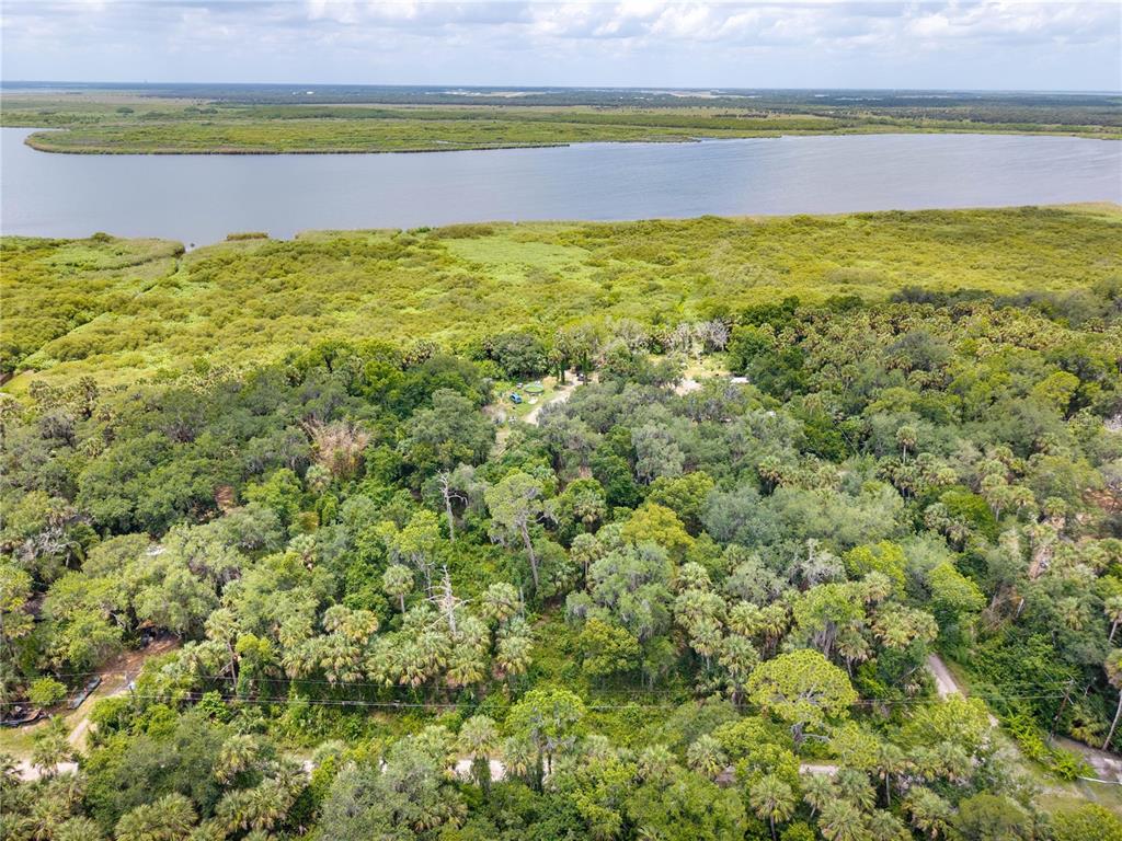 An aerial view shows a wooded lot situated along a large body of water — SWAMP LANE, GENEVA, FL