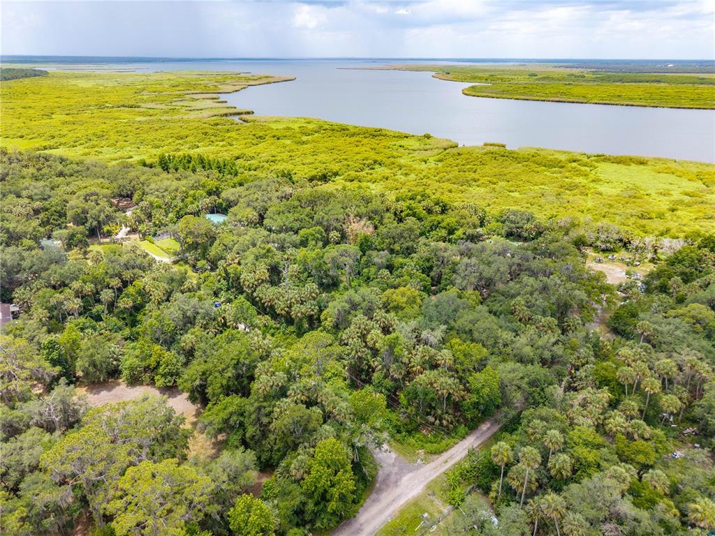 An aerial view shows a wooded property bordering a large body of water — SWAMP LANE, GENEVA, FL